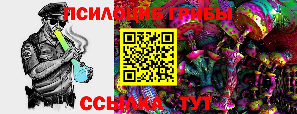 Галлюциногенные грибы мицелий  Вход с VPN  Истра 